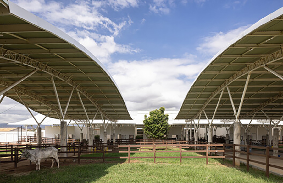 Design Concept: Creating a Veterinary School Hospital Oasis